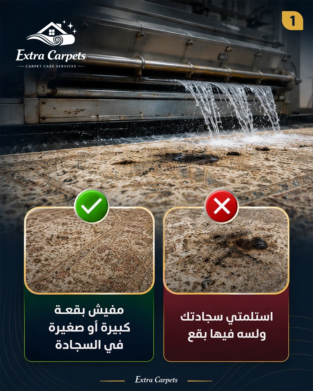 Extra Carpets 02