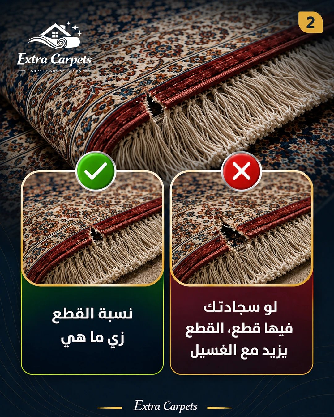 Extra Carpets 03