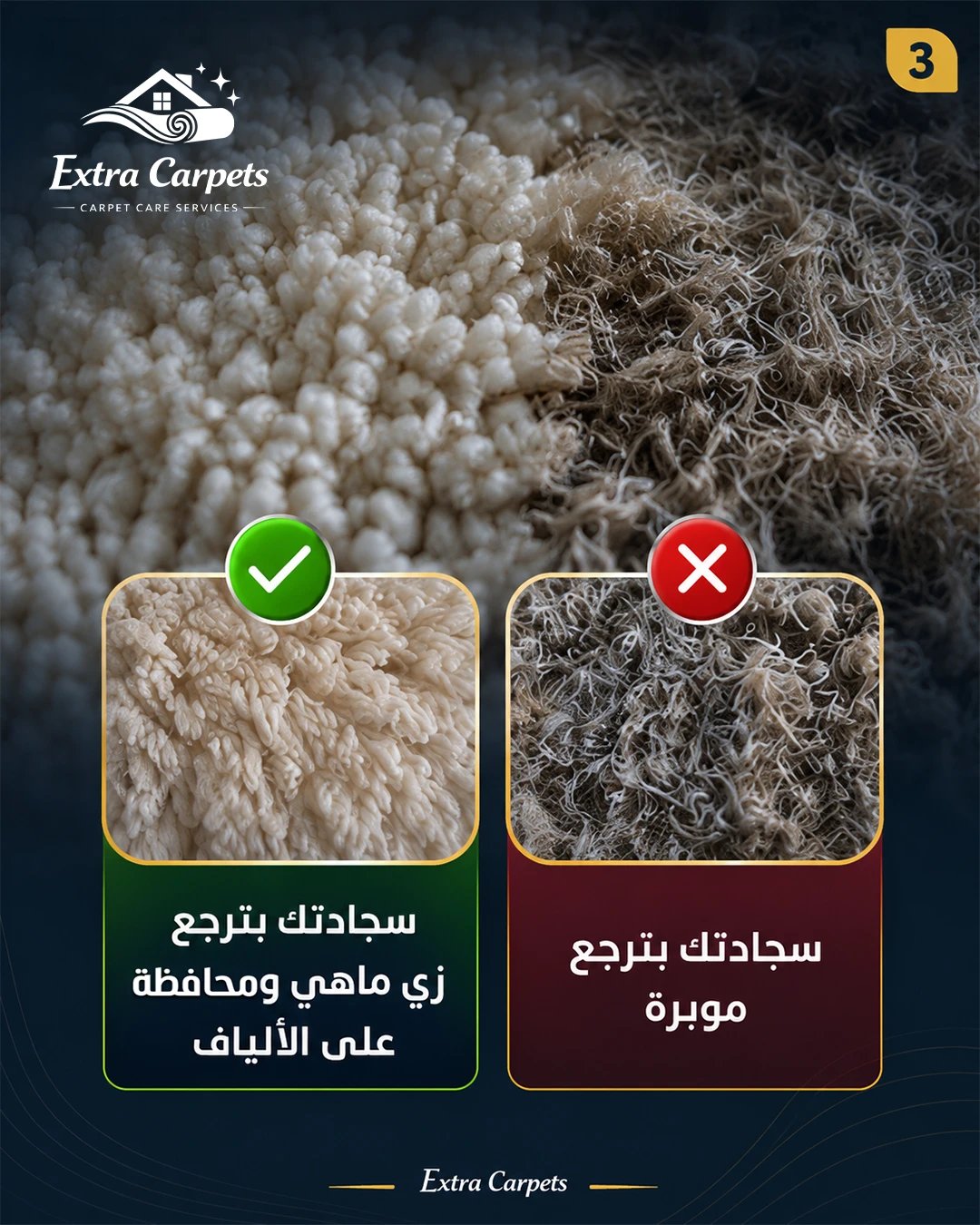 Extra Carpets 04