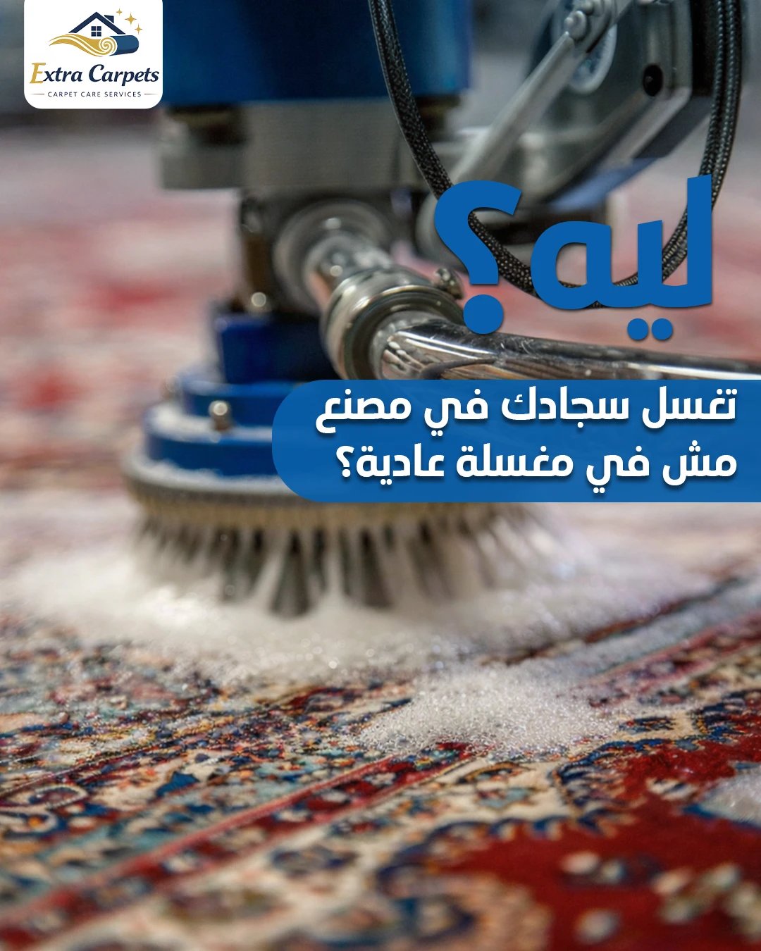 Extra Carpets 09