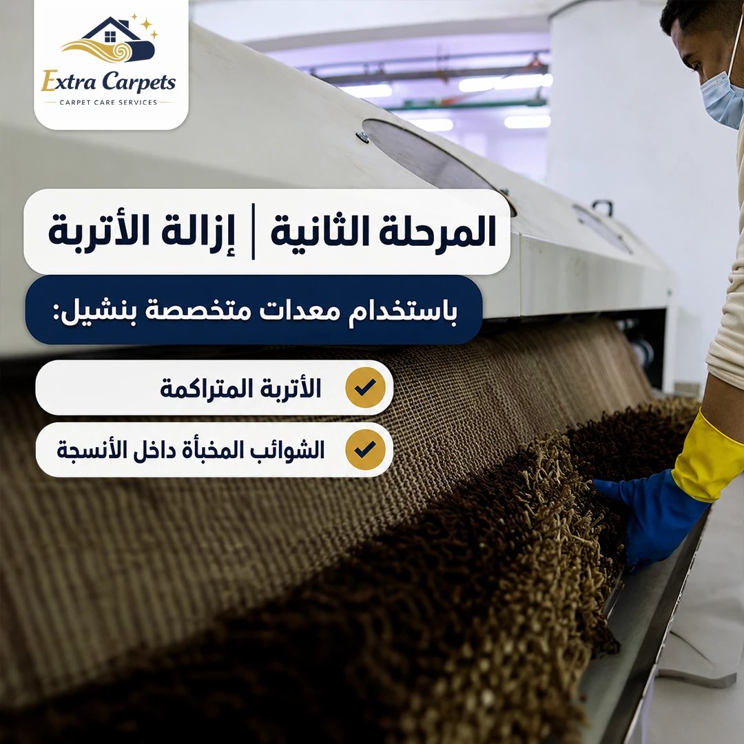 Extra Carpets 19